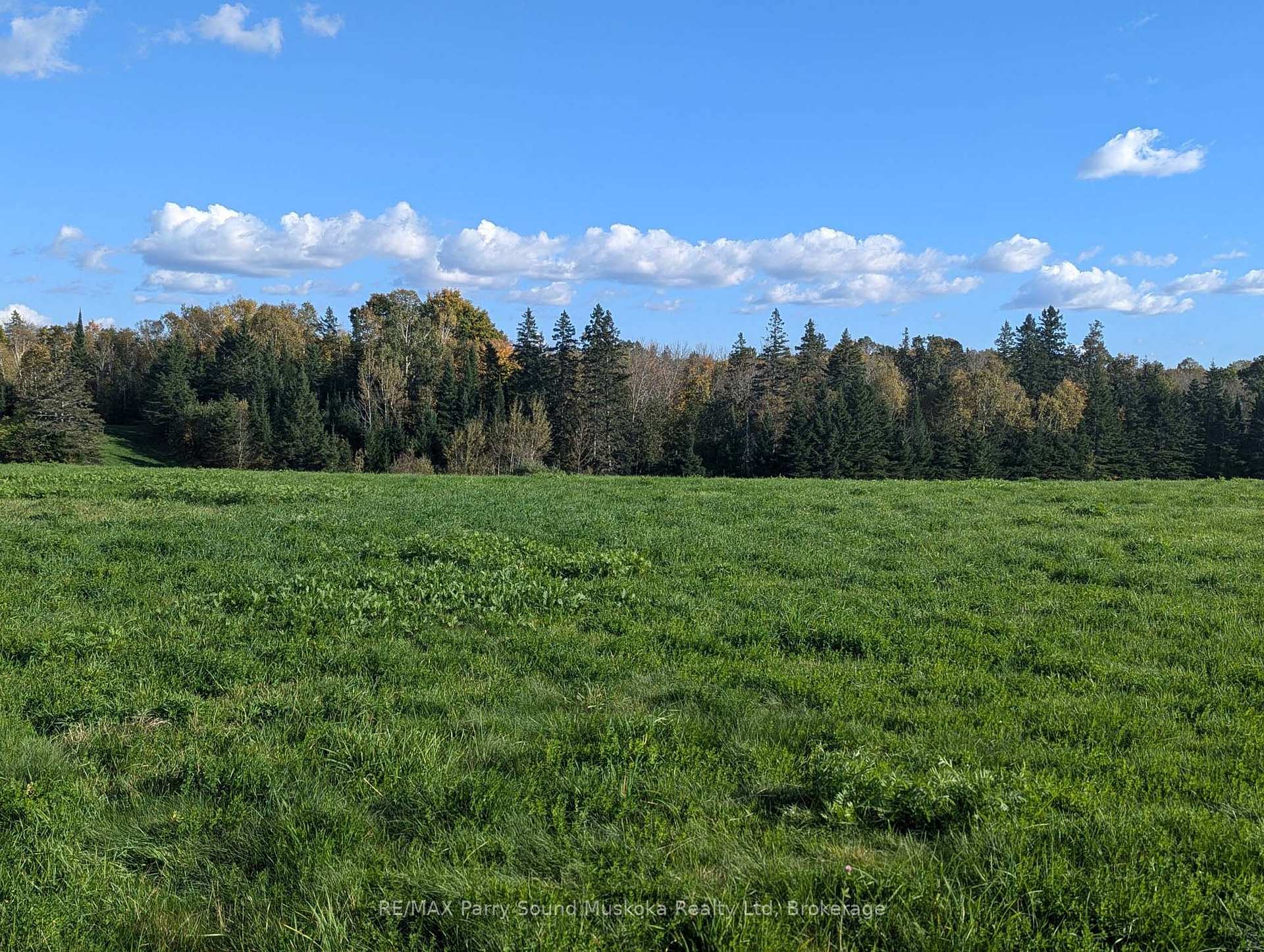 Photo 9 of Balsam Road, McKellar — HOMEH
