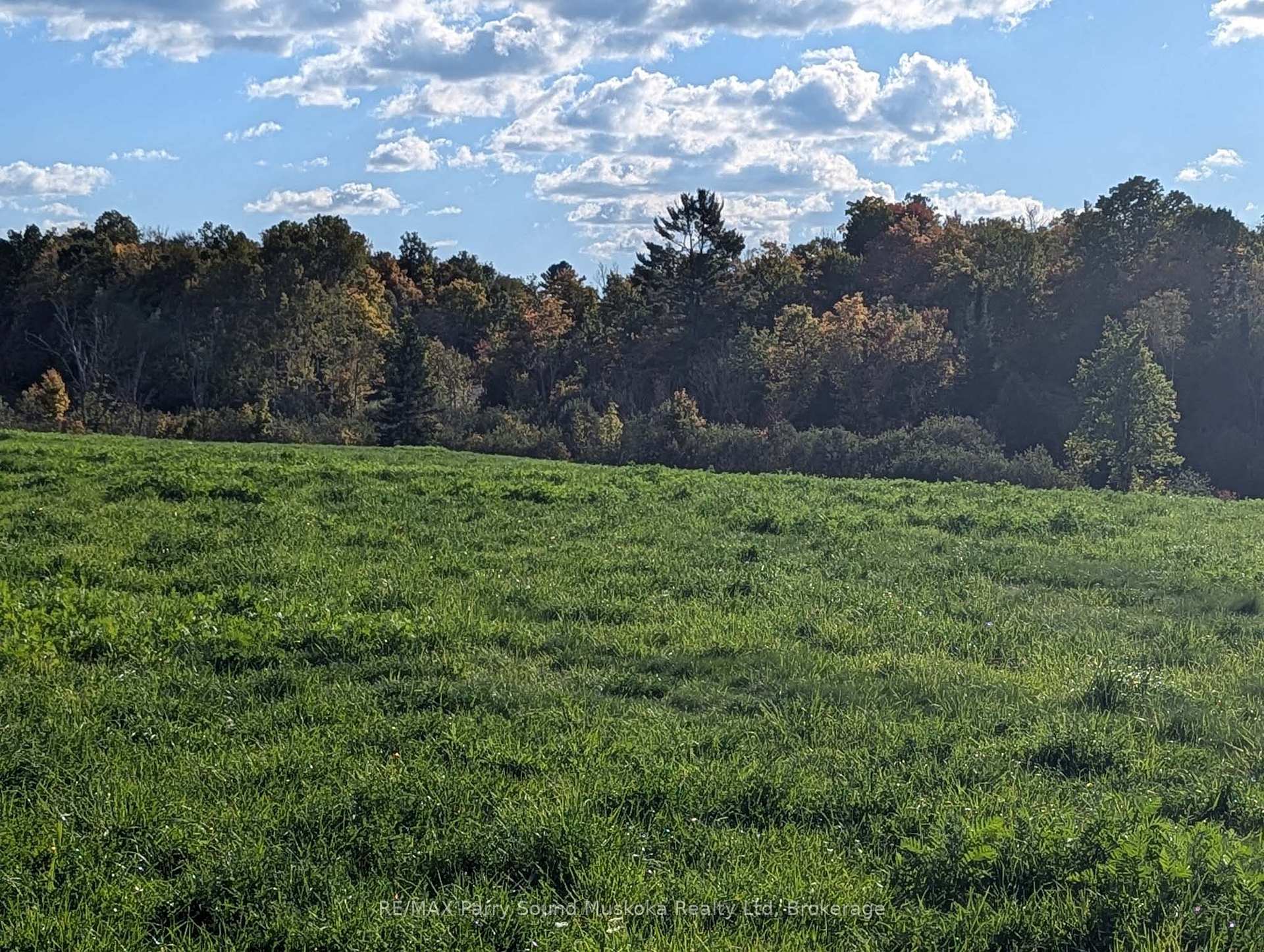 Photo 6 of Balsam Road, McKellar — HOMEH
