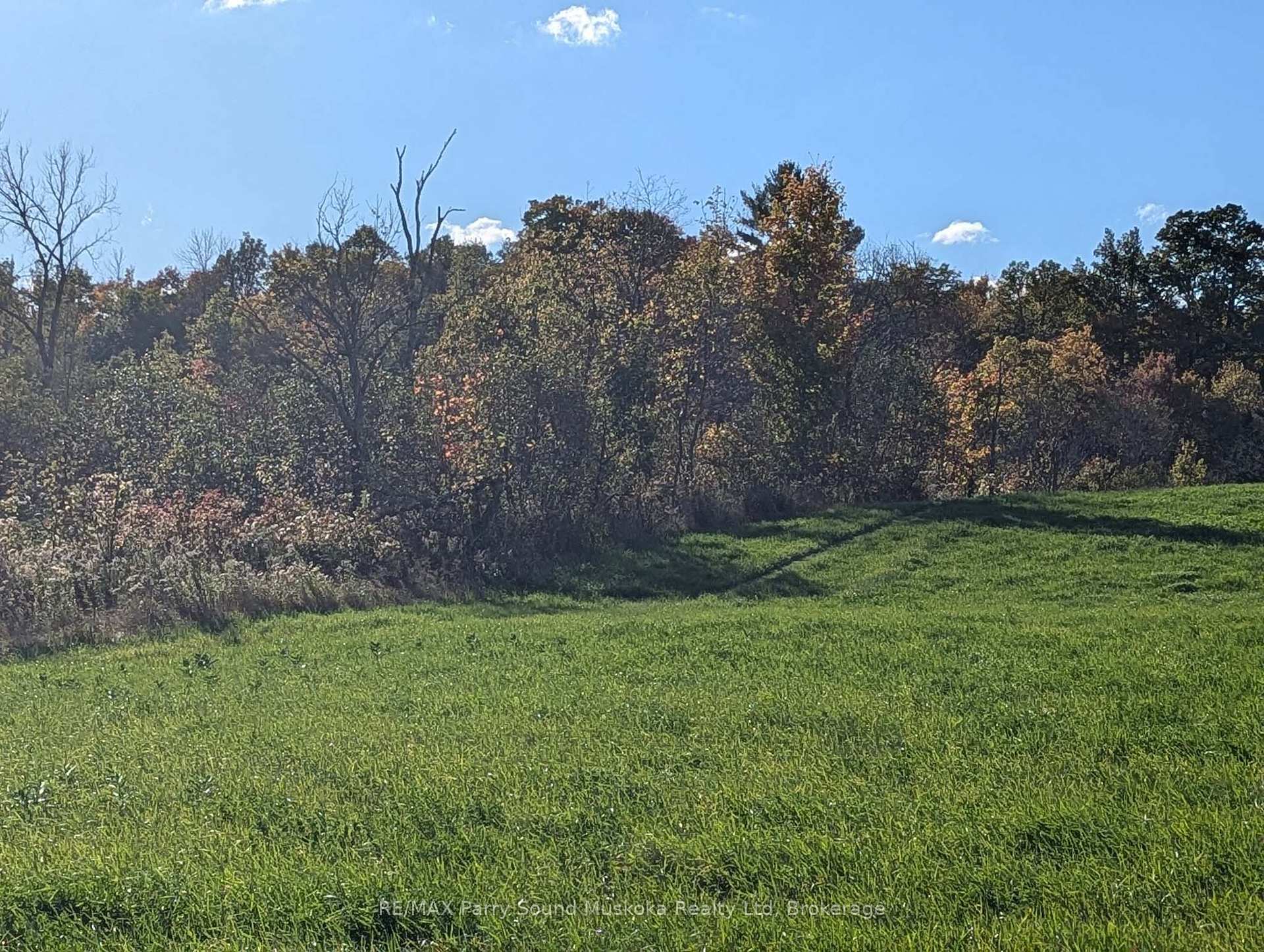 Photo 8 of Balsam Road, McKellar — HOMEH