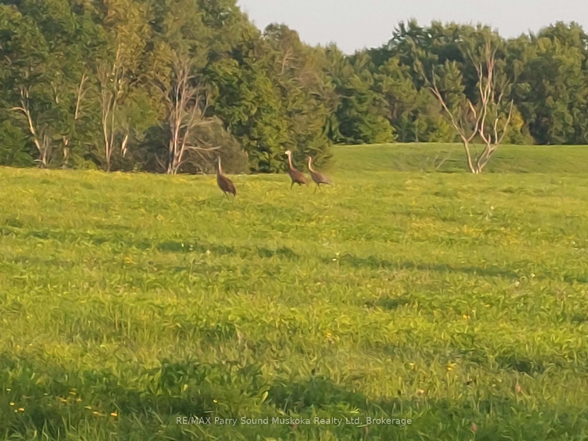 Photo 10 of Balsam Road, McKellar — HOMEH
