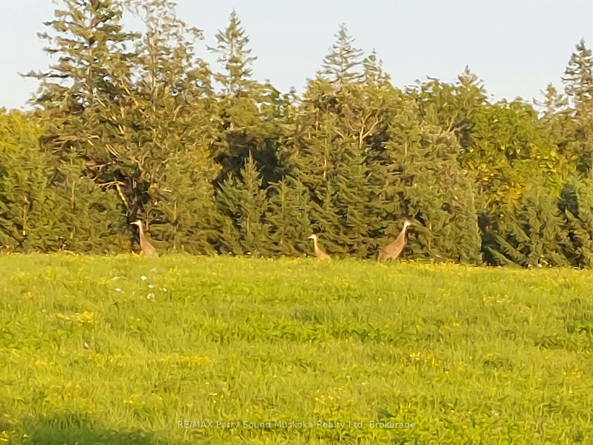 Photo 5 of Balsam Road, McKellar — HOMEH