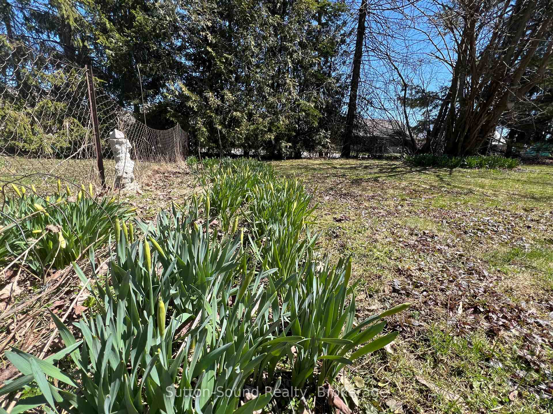 Photo 9 of 38 Brook Street W, Arran-Elderslie — HOMEH
