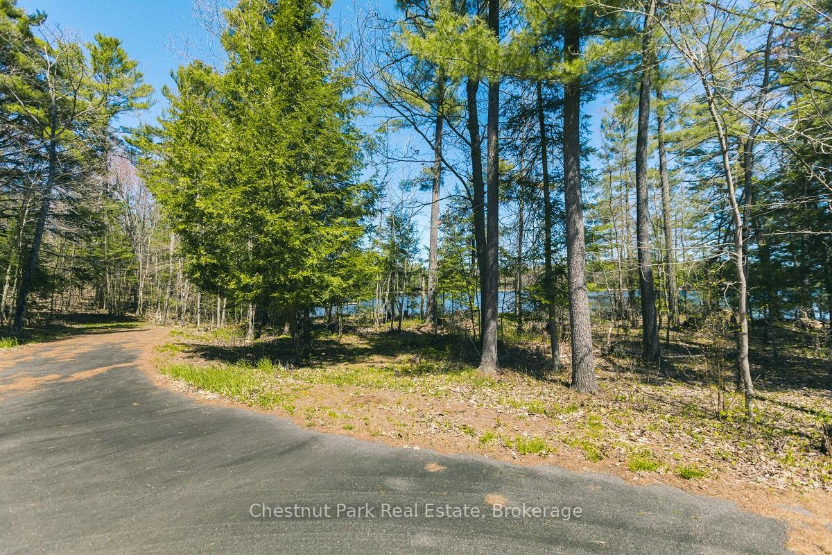 Photo 9 of 7 Sawdust Bay Road N, Carling — HOMEH