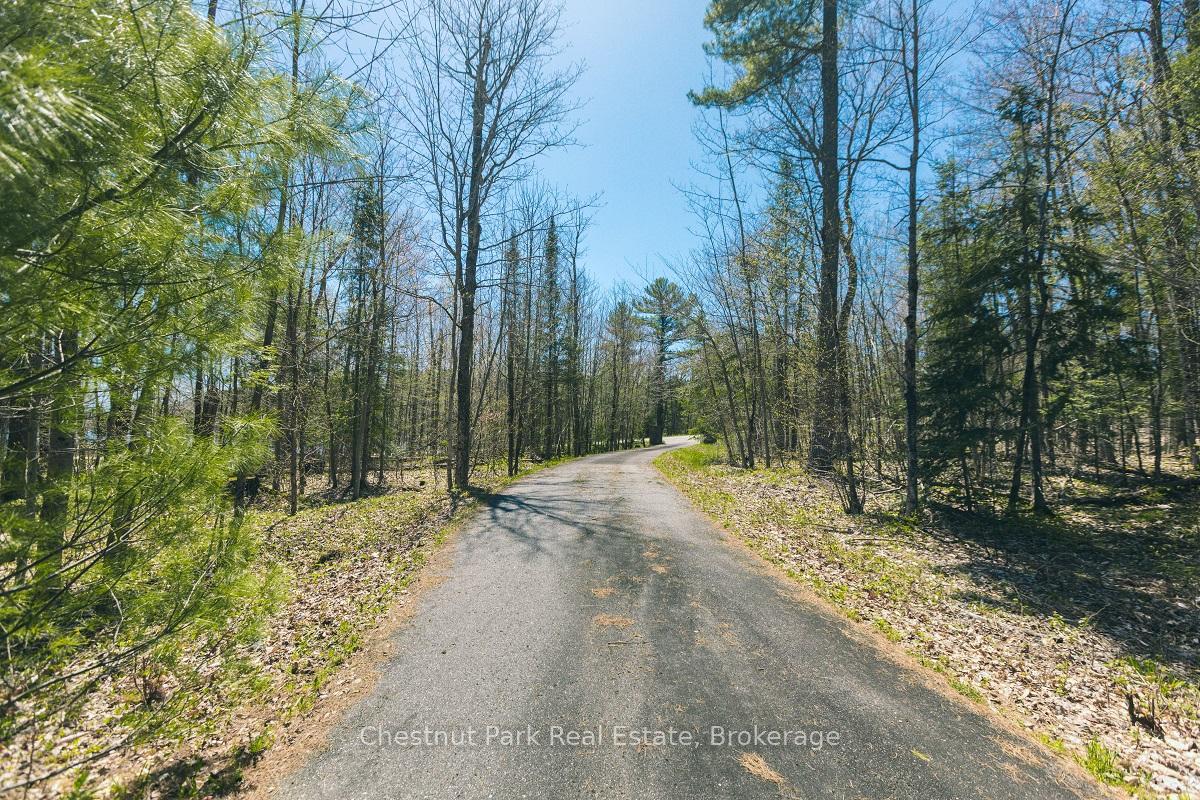 Photo 7 of 7 Sawdust Bay Road N, Carling — HOMEH