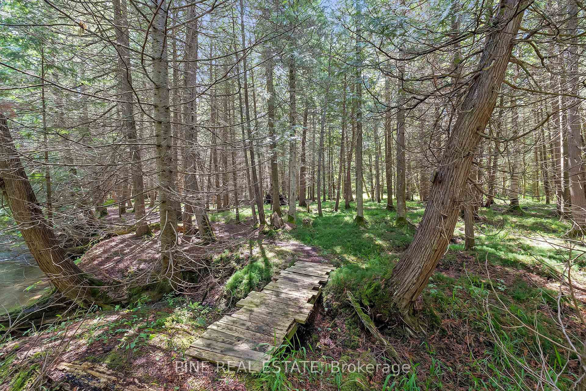 Photo 40 of 757645 2 Line E, Mulmur, Rural Mulmur — HOMEH