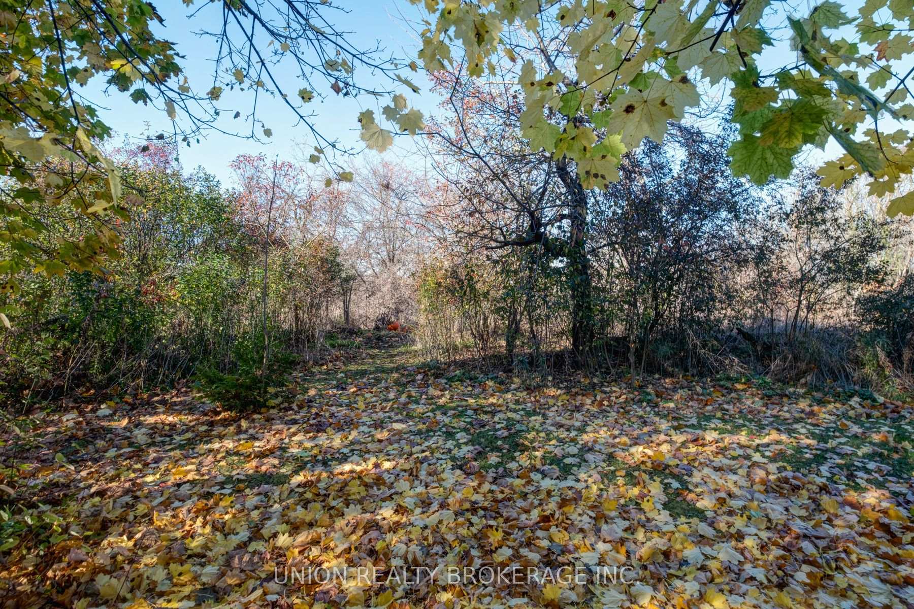 Photo 42 of 54 Oakridge Drive, Scarborough, Cliffcrest — HOMEH