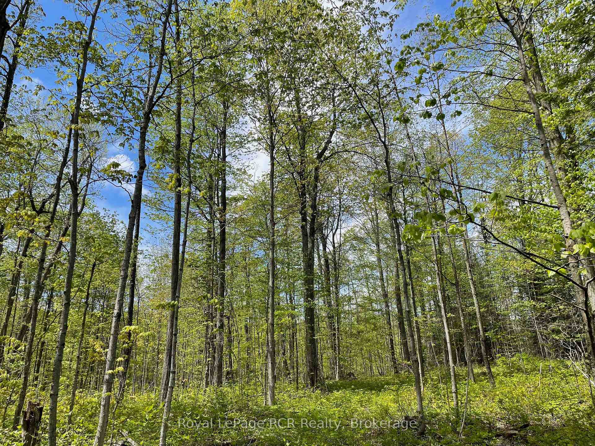 Photo 7 of Concession 6, West Grey — HOMEH