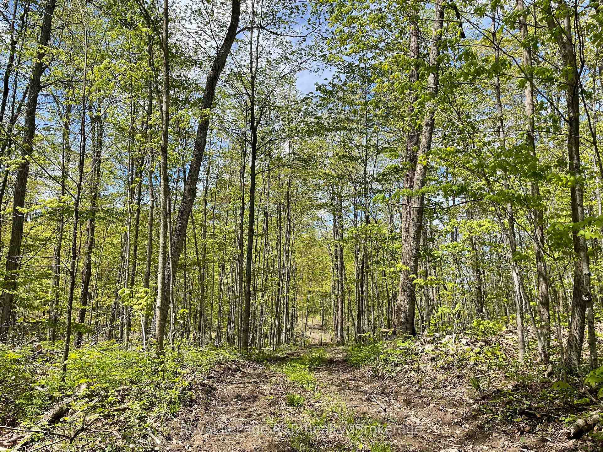 Photo 3 of Concession 6, West Grey — HOMEH