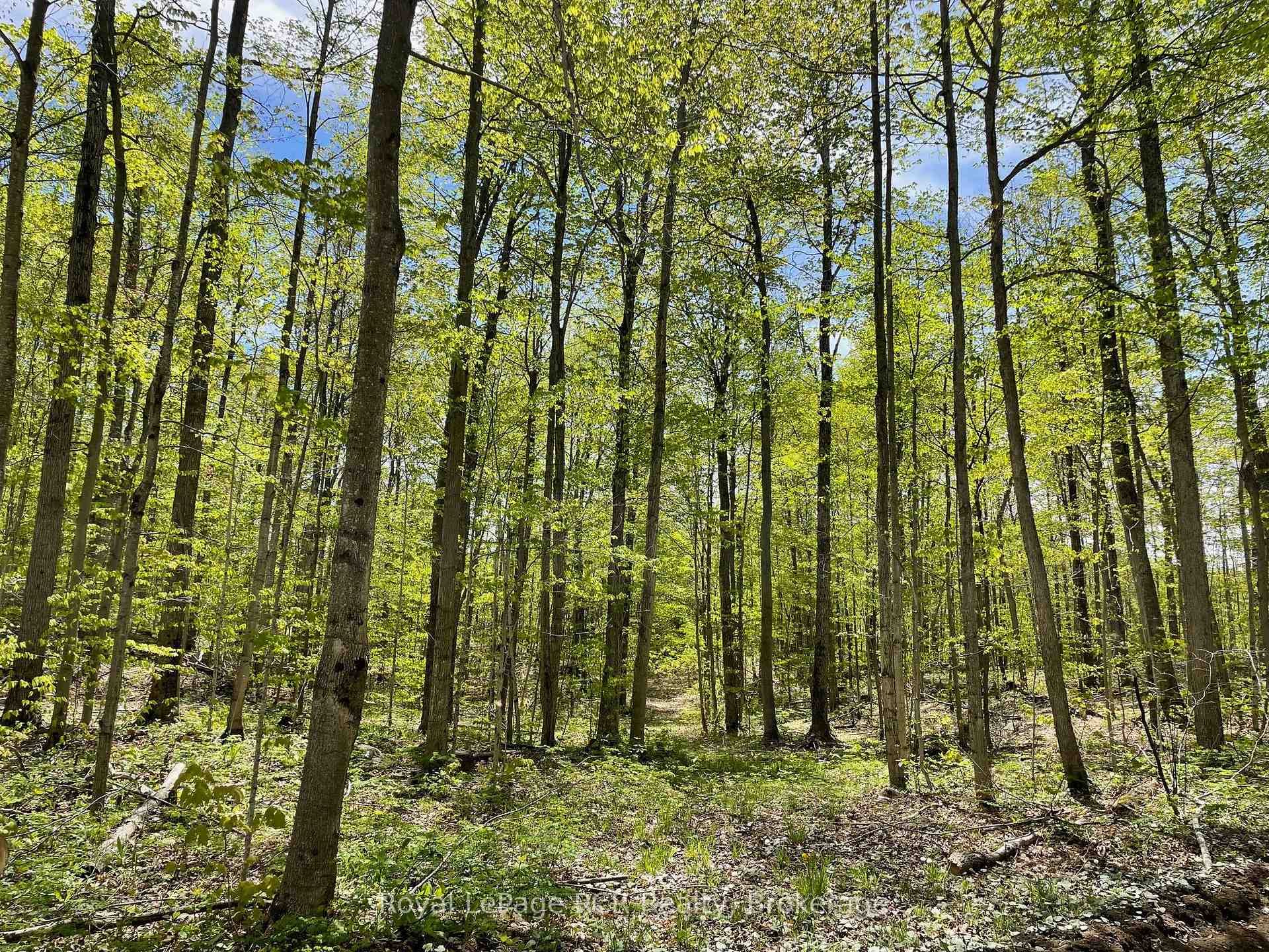 Photo 11 of Concession 6, West Grey — HOMEH