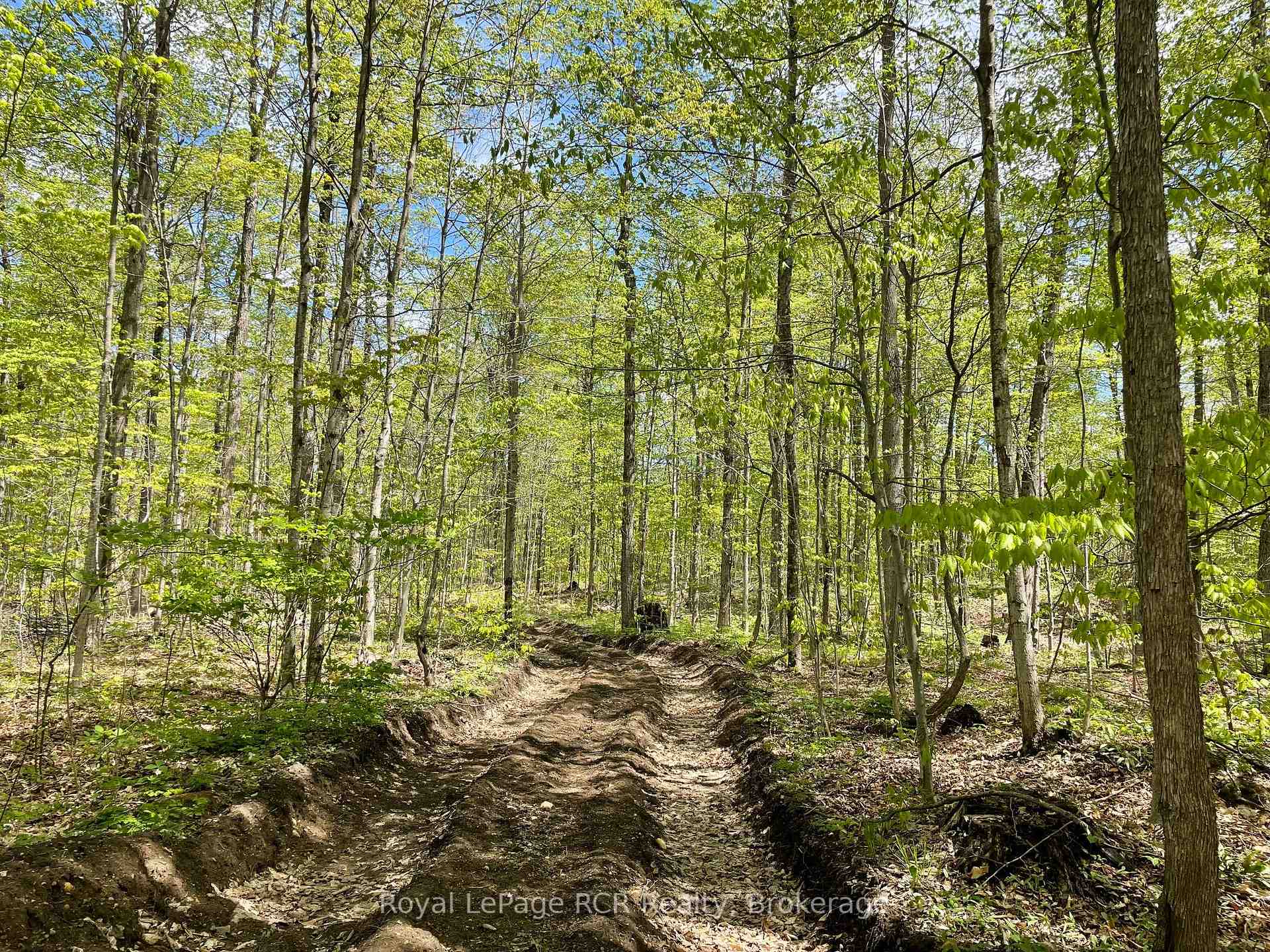 Photo 4 of Concession 6, West Grey — HOMEH