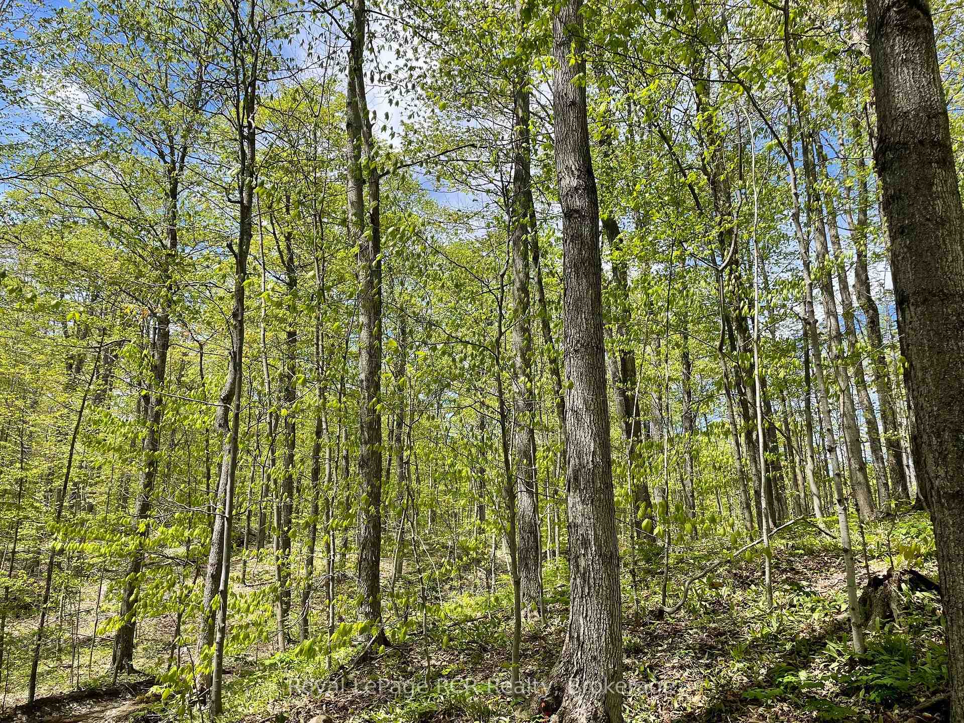 Photo 9 of Concession 6, West Grey — HOMEH