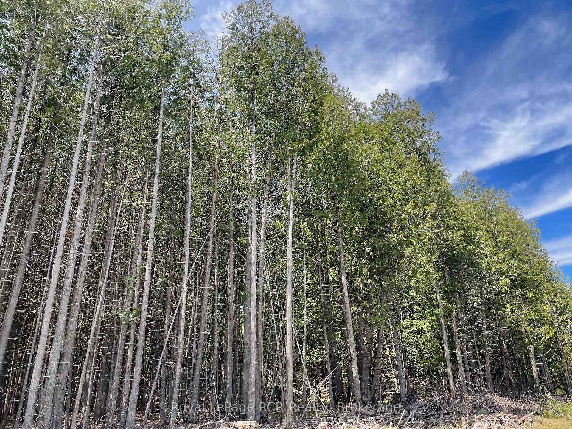 Photo 8 of Concession 6, West Grey — HOMEH