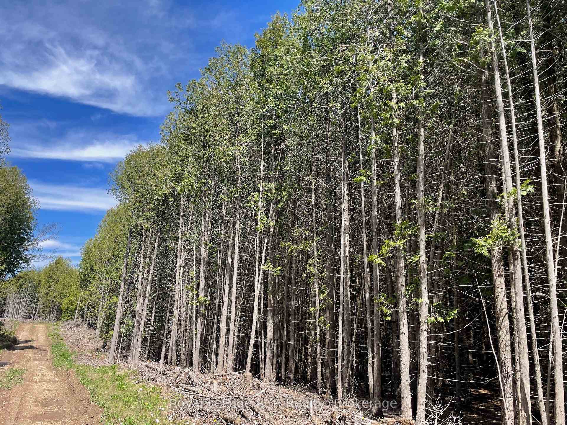 Photo 5 of Concession 6, West Grey — HOMEH