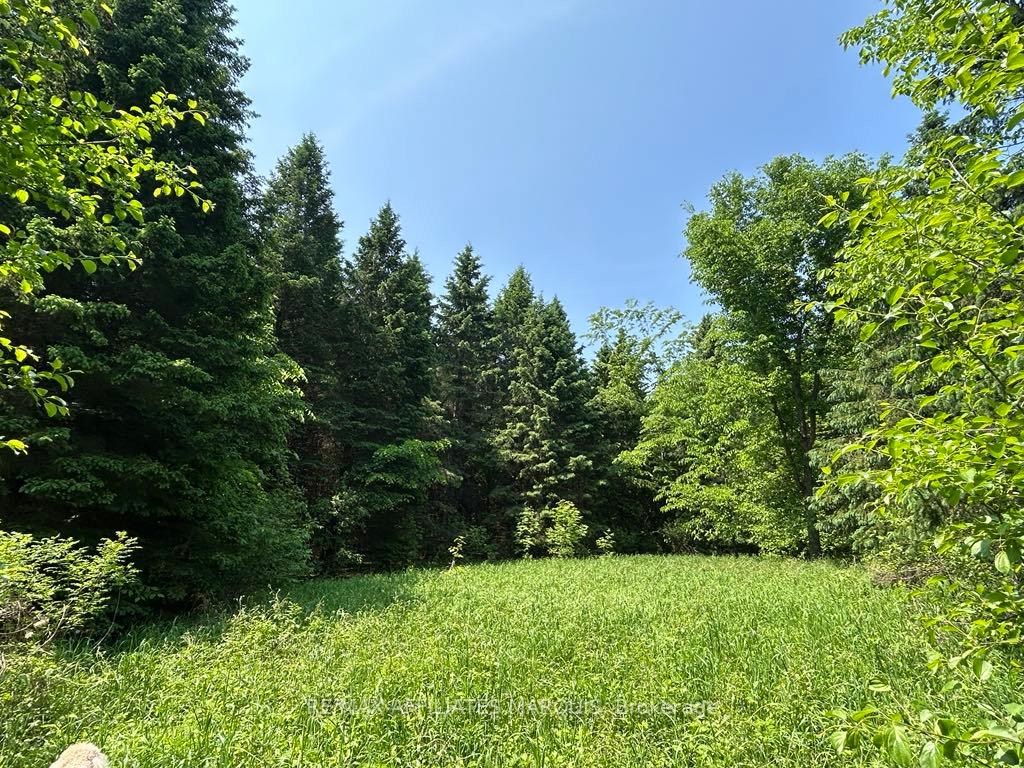Photo 5 of 00 Highway 15, Montague, Montague Twp — HOMEH