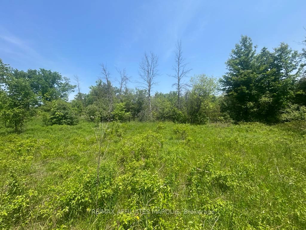 Photo 2 of 00 Highway 15, Montague, Montague Twp — HOMEH