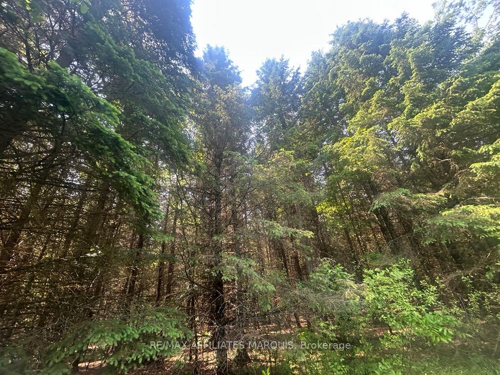 Photo 13 of 00 Highway 15, Montague, Montague Twp — HOMEH