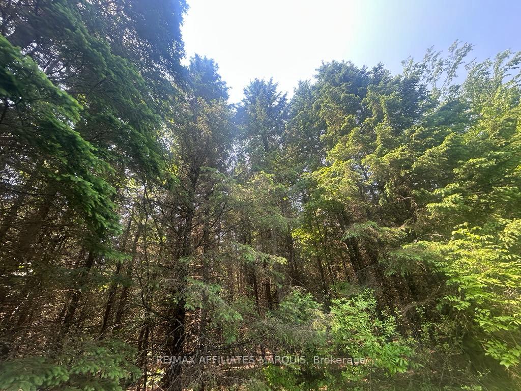 Photo 15 of 00 Highway 15, Montague, Montague Twp — HOMEH