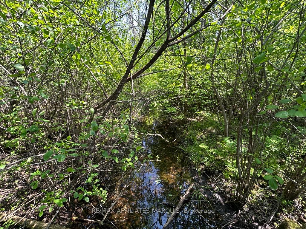 Photo 22 of 00 Highway 15, Montague, Montague Twp — HOMEH