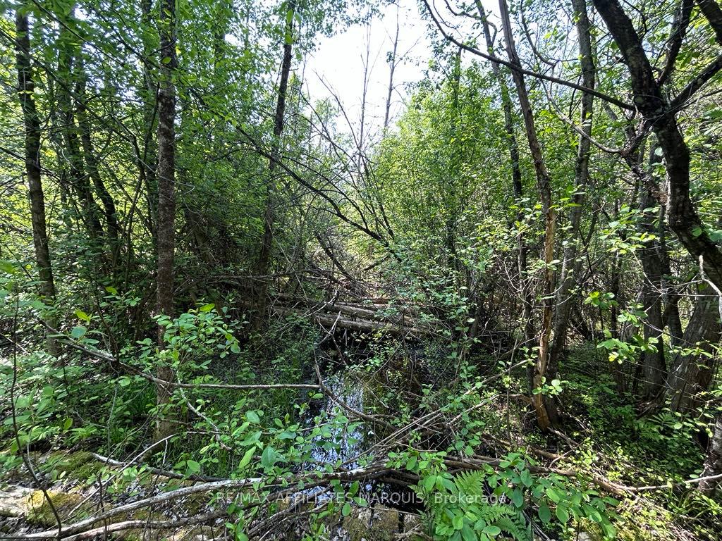 Photo 19 of 00 Highway 15, Montague, Montague Twp — HOMEH