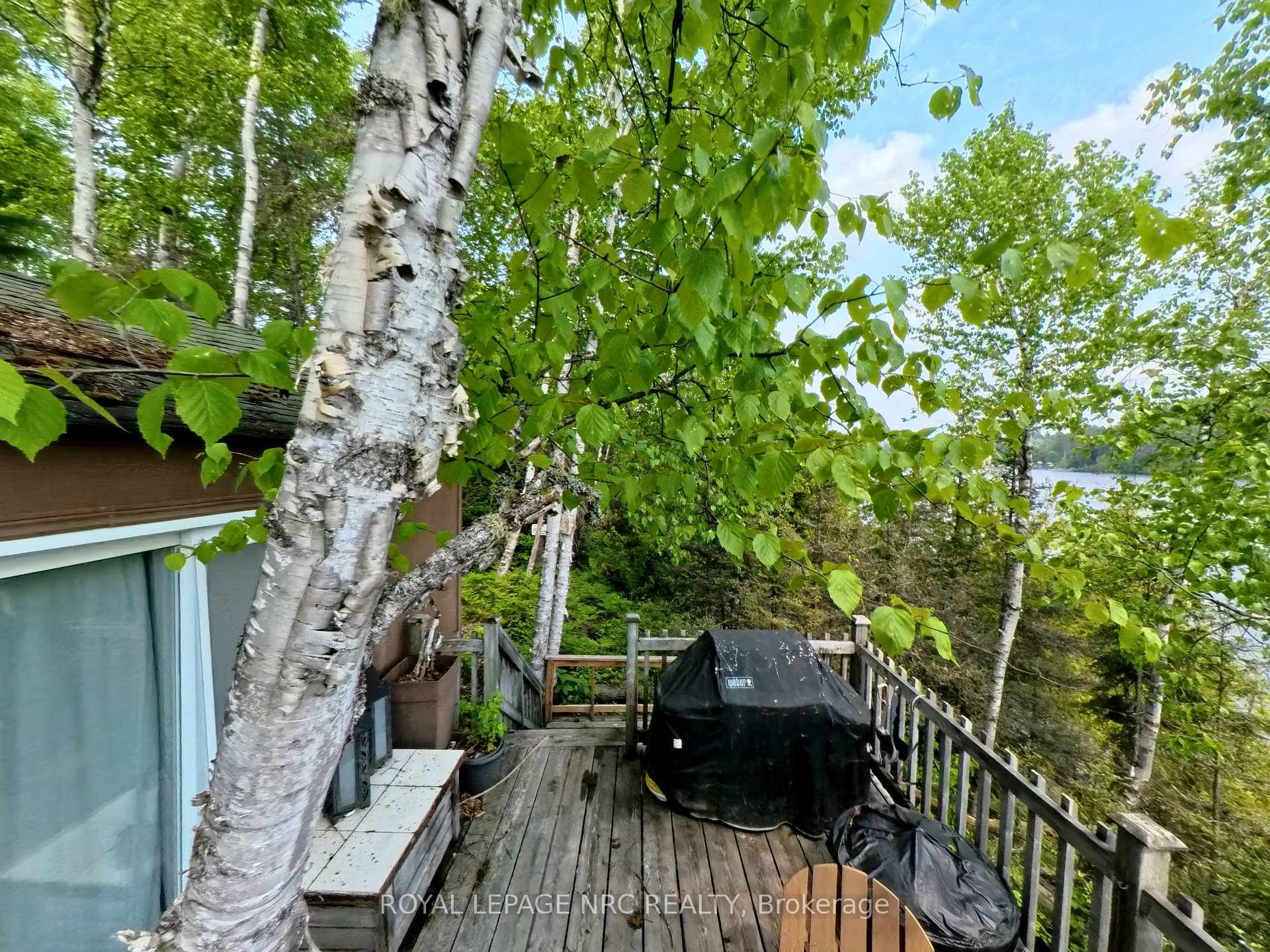Photo 31 of 68 Lake Temagami 30 Island, Temagami — HOMEH