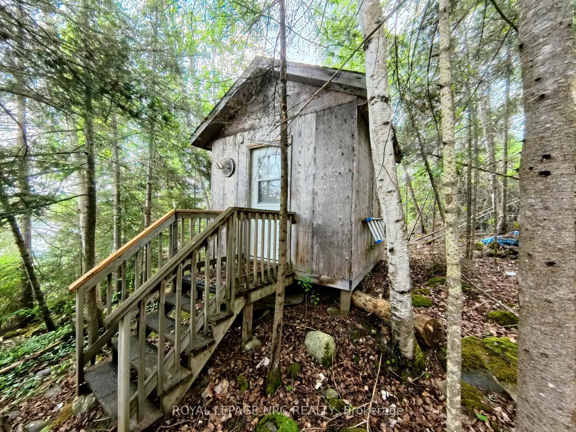 Photo 42 of 68 Lake Temagami 30 Island, Temagami — HOMEH