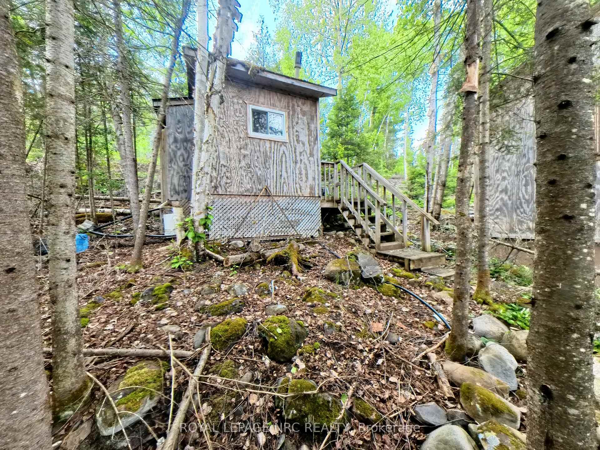 Photo 39 of 68 Lake Temagami 30 Island, Temagami — HOMEH