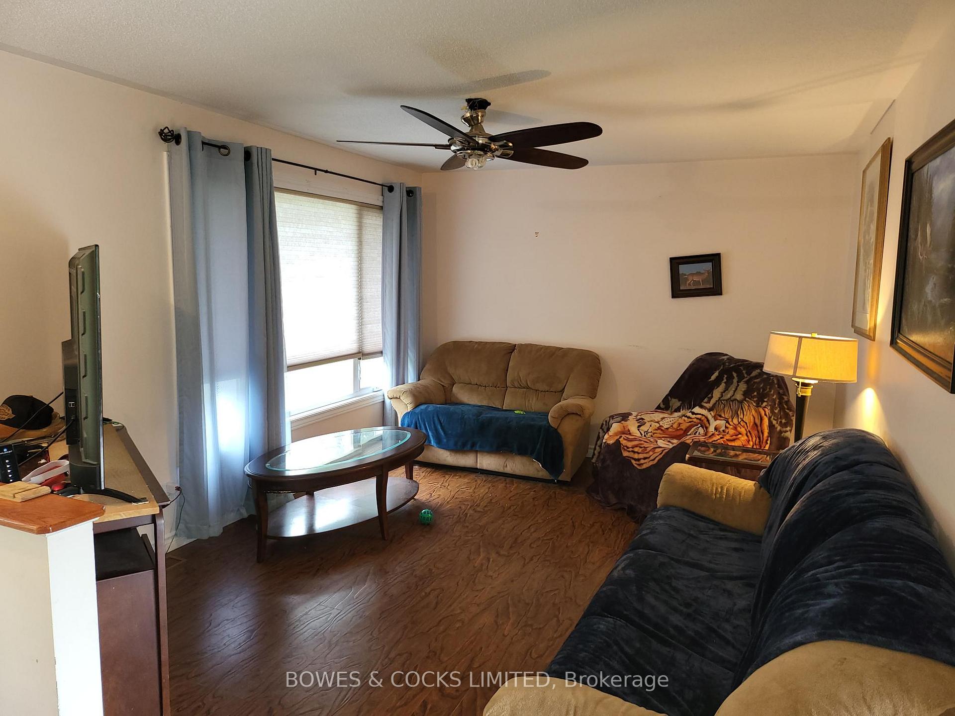 Photo 13 of 447 Frantz Road, Hastings Highlands, Wicklow Ward — HOMEH