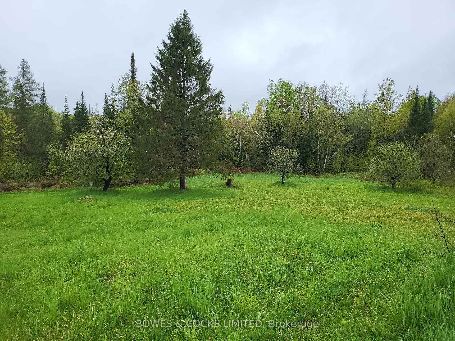 Photo 17 of 447 Frantz Road, Hastings Highlands, Wicklow Ward — HOMEH