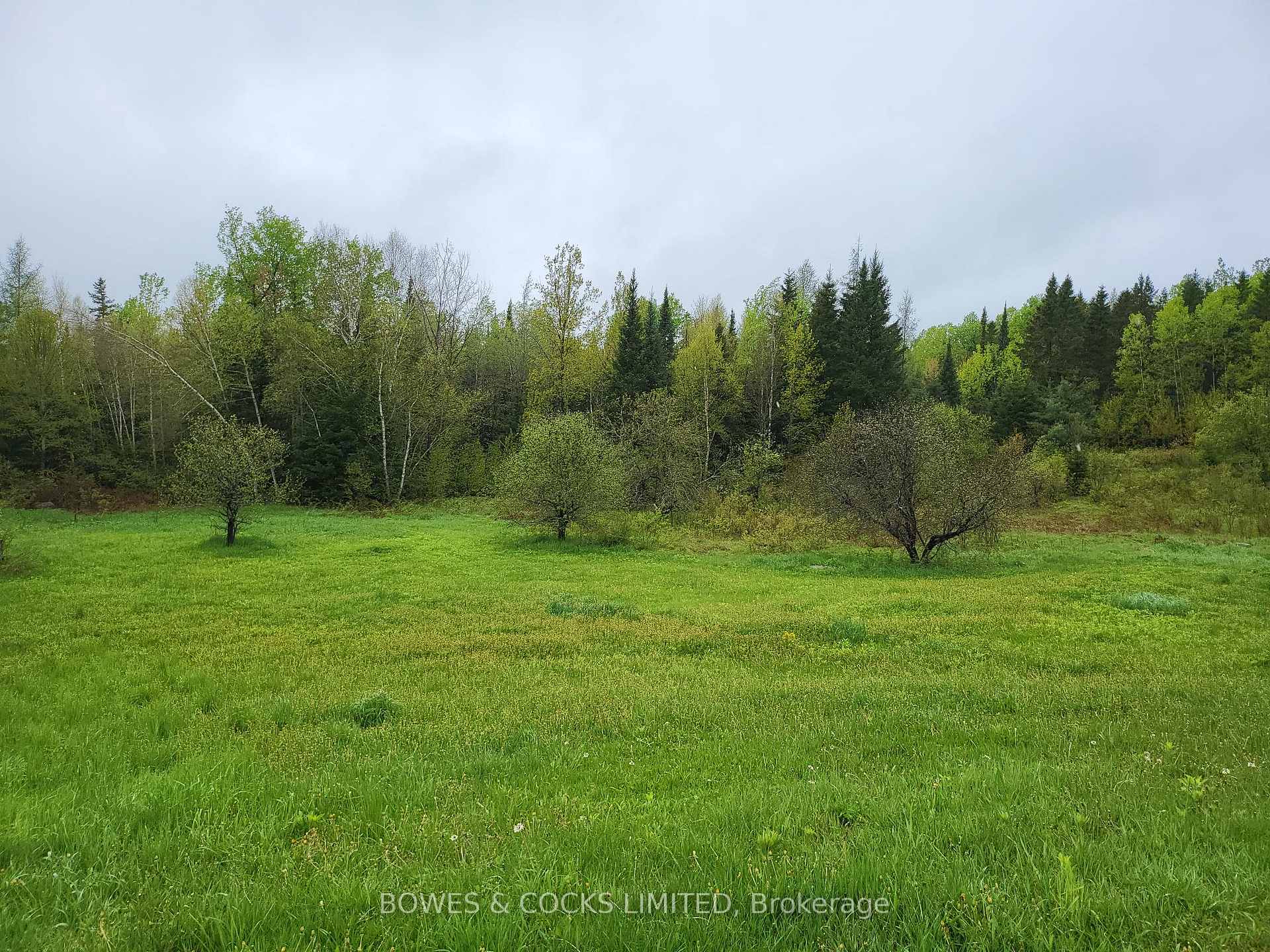 Photo 46 of 447 Frantz Road, Hastings Highlands, Wicklow Ward — HOMEH