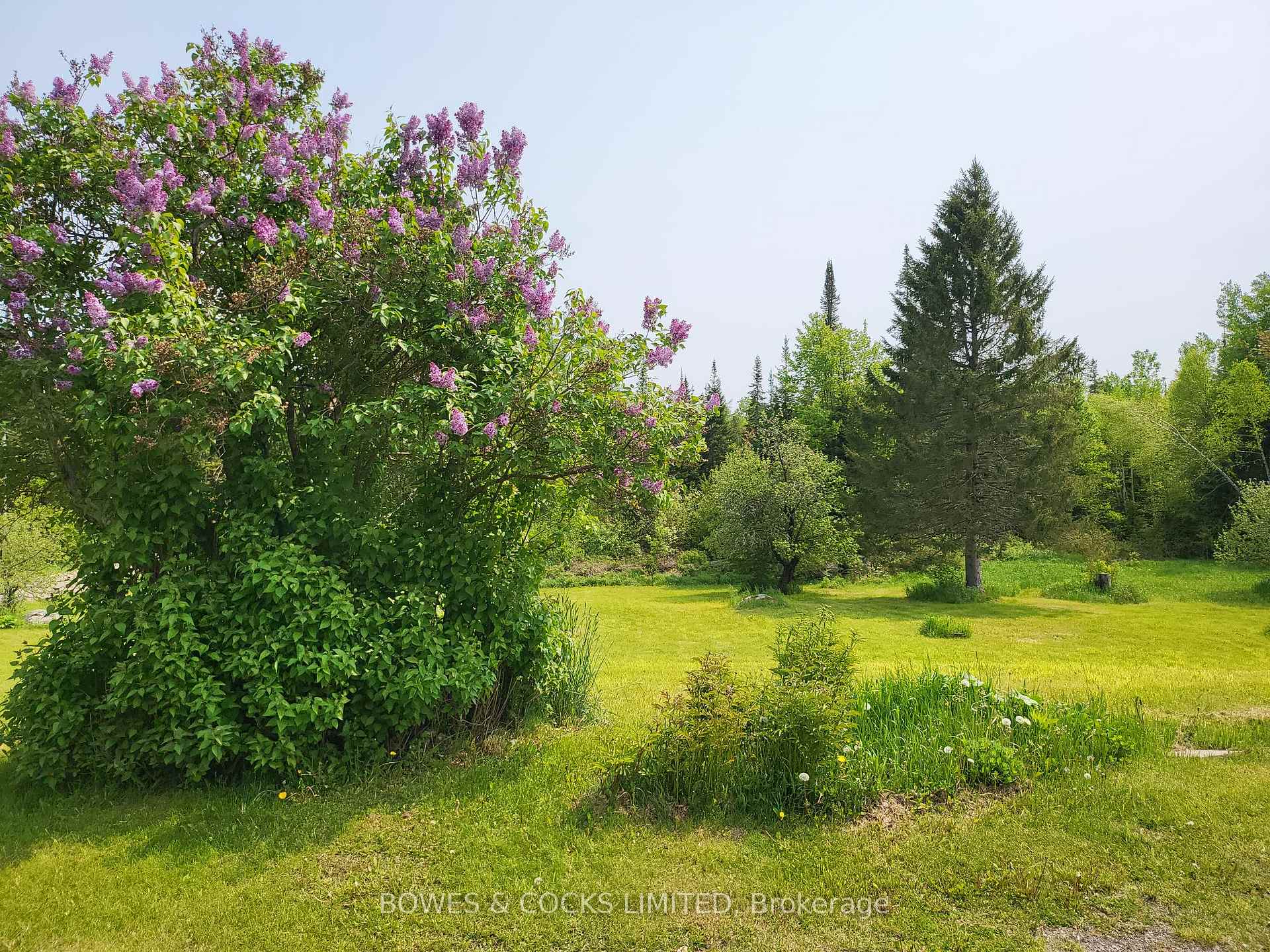 Photo 26 of 447 Frantz Road, Hastings Highlands, Wicklow Ward — HOMEH