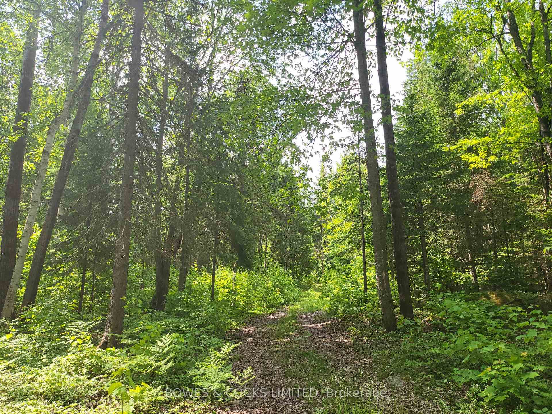 Photo 49 of 447 Frantz Road, Hastings Highlands, Wicklow Ward — HOMEH