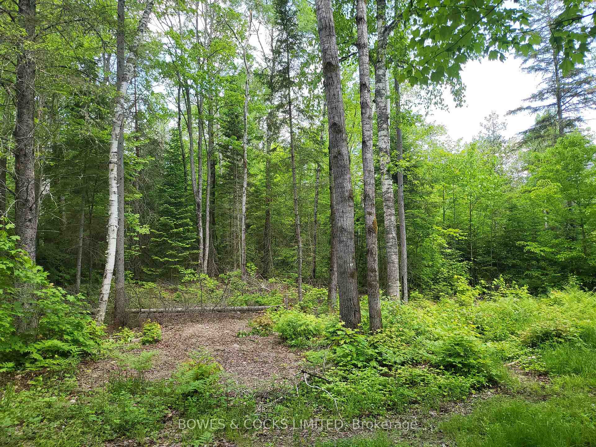 Photo 42 of 447 Frantz Road, Hastings Highlands, Wicklow Ward — HOMEH