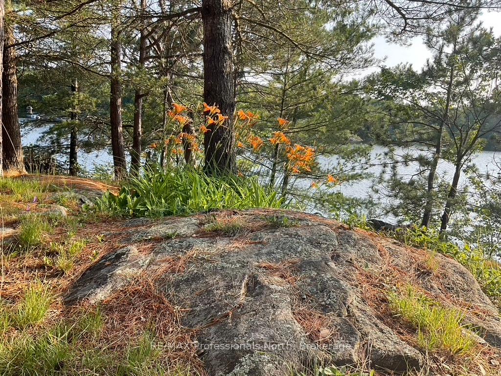 Photo 28 of 11437 Devils Lake WAO, Minden Hills, Lutterworth — HOMEH
