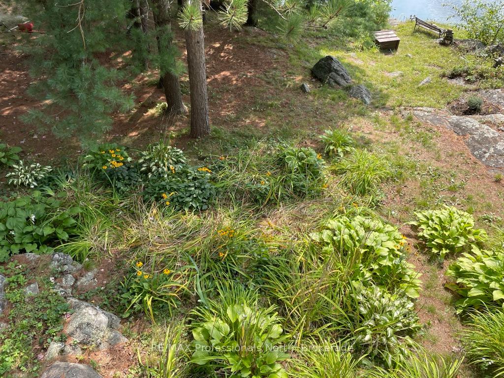 Photo 29 of 11437 Devils Lake WAO, Minden Hills, Lutterworth — HOMEH