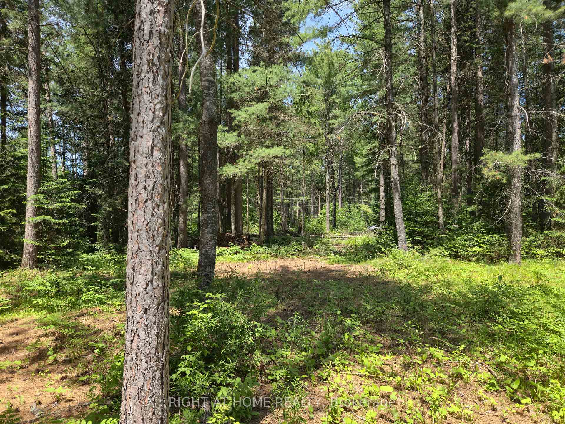 Photo 3 of 66 Ginza Street, Greater Madawaska — HOMEH