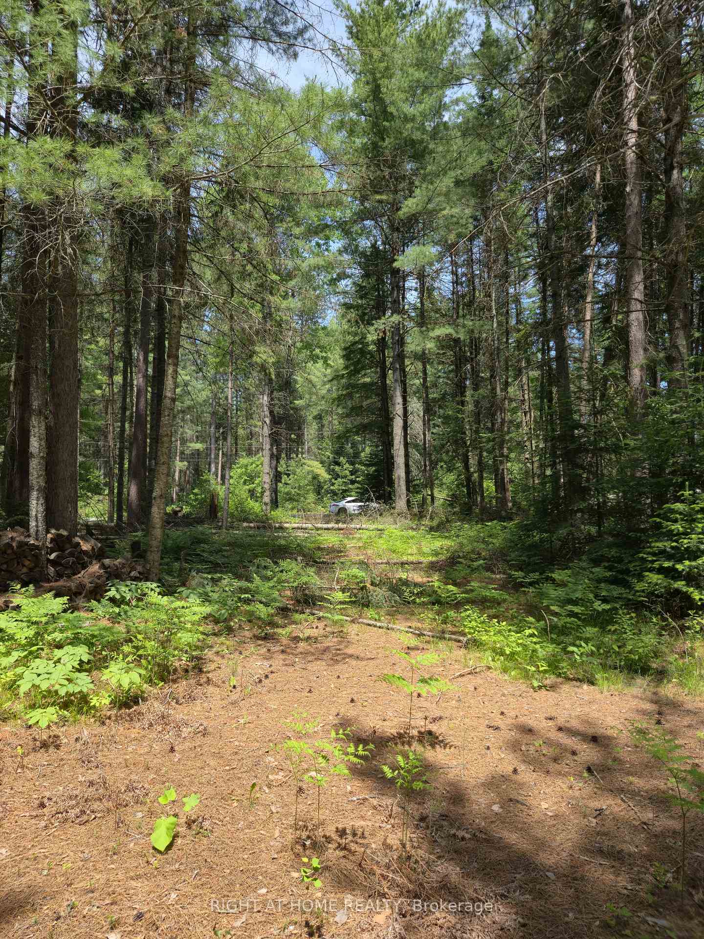 Photo 6 of 66 Ginza Street, Greater Madawaska — HOMEH