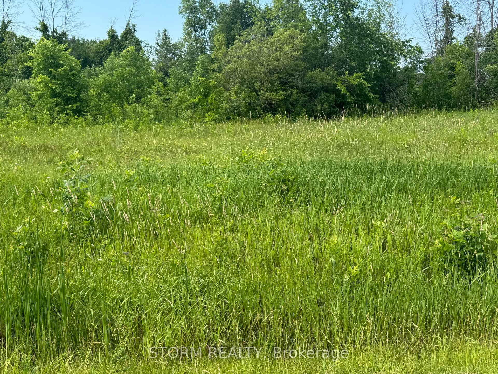 Front of Lot 18 County 18 Road