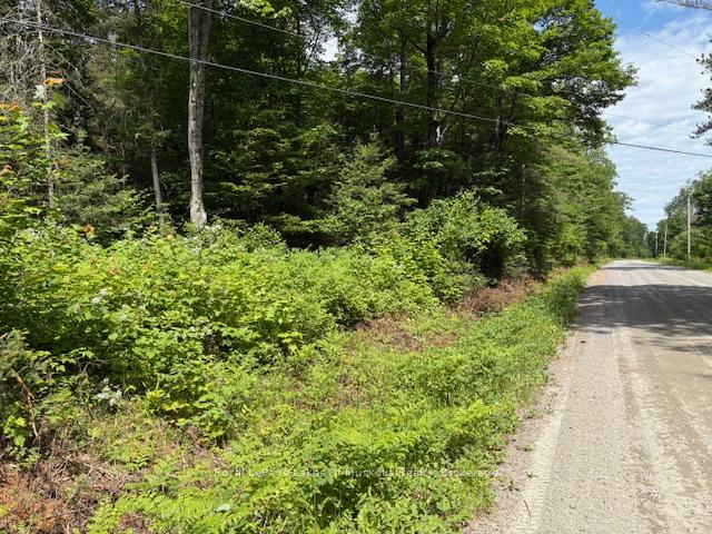 Photo 2 of 00 Forest Lake Road, Joly — HOMEH