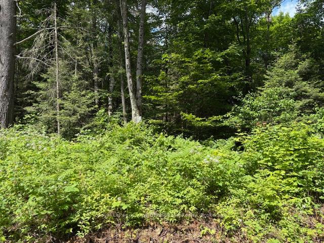Photo 5 of 00 Forest Lake Road, Joly — HOMEH