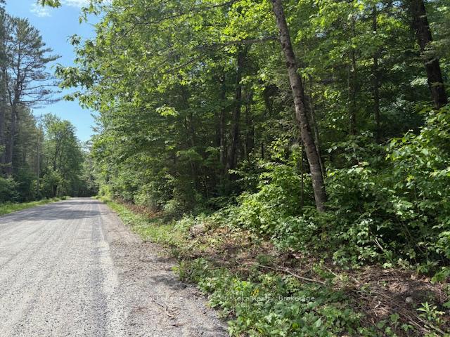 Photo 4 of 00 Forest Lake Road, Joly — HOMEH