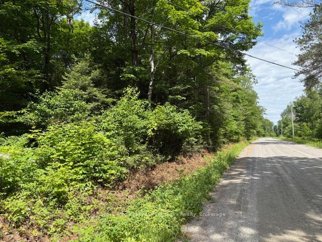 Photo 3 of 00 Forest Lake Road, Joly — HOMEH