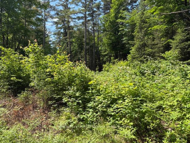 Photo 6 of 00 Forest Lake Road, Joly — HOMEH