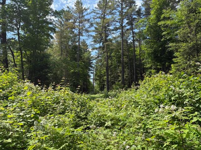 Photo 7 of 00 Forest Lake Road, Joly — HOMEH