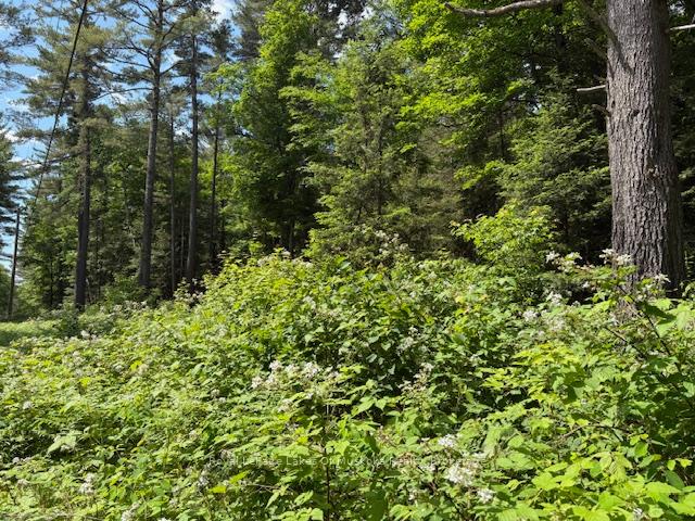 Photo 11 of 00 Forest Lake Road, Joly — HOMEH