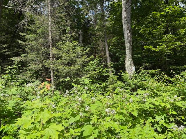 Photo 9 of 00 Forest Lake Road, Joly — HOMEH