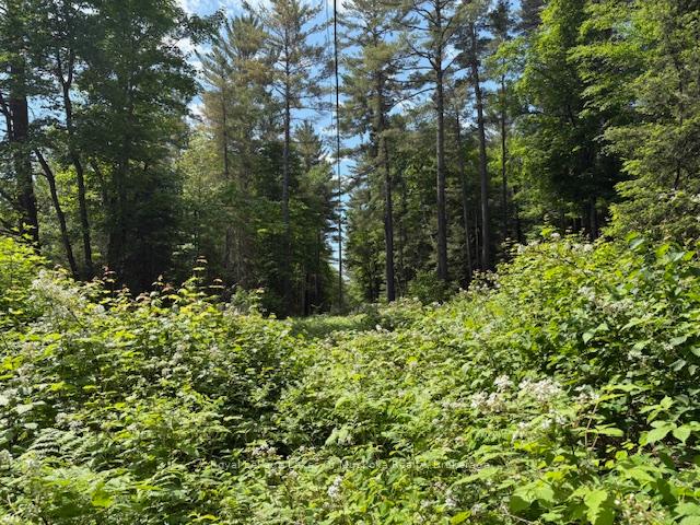 Photo 8 of 00 Forest Lake Road, Joly — HOMEH