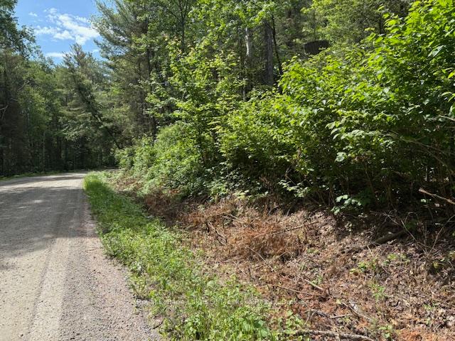 Photo 10 of 00 Forest Lake Road, Joly — HOMEH