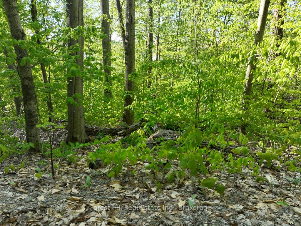 Photo 13 of 1582 North Creek Drive, Algonquin Highlands, McClintock — HOMEH