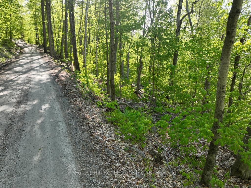 Photo 6 of 1582 North Creek Drive, Algonquin Highlands, McClintock — HOMEH
