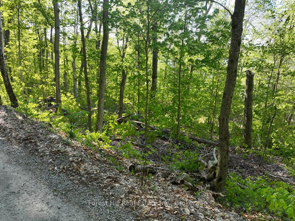 Photo 8 of 1582 North Creek Drive, Algonquin Highlands, McClintock — HOMEH
